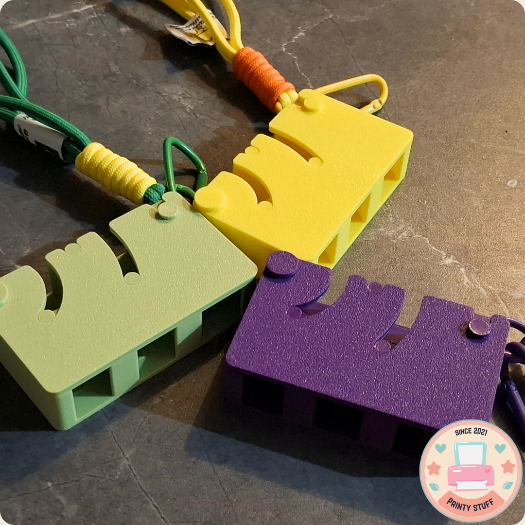 Coin Organizer Holder
