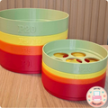Stackable Philippine Coin Sorter / Organizer (Small & Big Sizes)