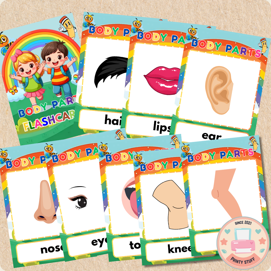 My Body: Interactive Parts of the Body Flashcards